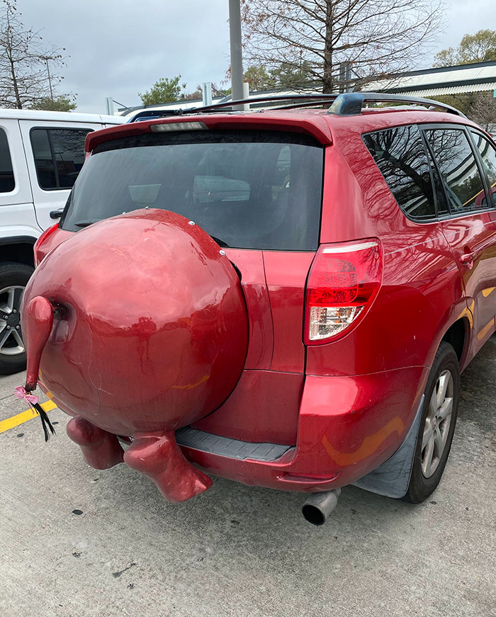 Hippo Car's Rear End. In Case You Were Wondering