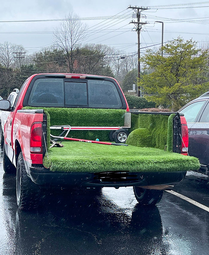 I Found This In The Wild Today