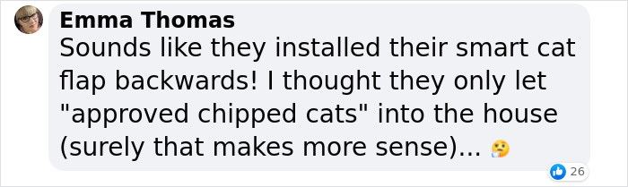 Cat Breaks Into Neighbor&rsquo;s New Home, They Are Furious And Ask For $2,000