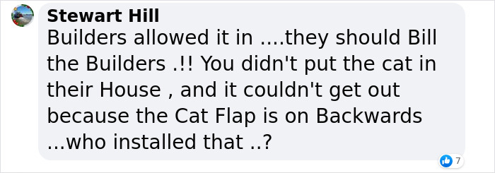 Cat Breaks Into Neighbor&rsquo;s New Home, They Are Furious And Ask For $2,000