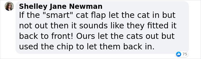 Cat Breaks Into Neighbor&rsquo;s New Home, They Are Furious And Ask For $2,000