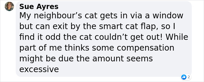 Cat Breaks Into Neighbor&rsquo;s New Home, They Are Furious And Ask For $2,000
