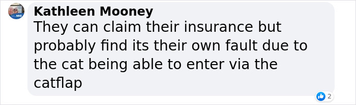 Cat Breaks Into Neighbor&rsquo;s New Home, They Are Furious And Ask For $2,000