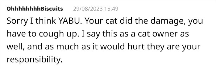 Cat Breaks Into Neighbor&rsquo;s New Home, They Are Furious And Ask For $2,000