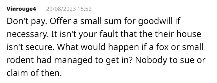 Cat Breaks Into Neighbor&rsquo;s New Home, They Are Furious And Ask For $2,000