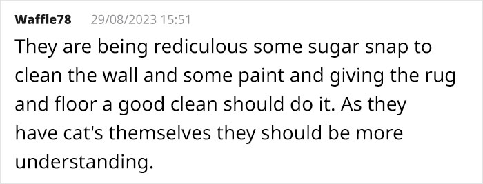 Cat Breaks Into Neighbor&rsquo;s New Home, They Are Furious And Ask For $2,000