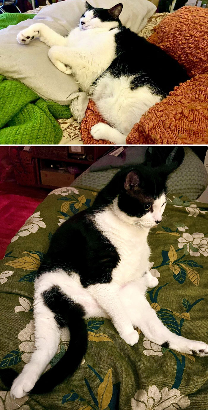 From 26 Lbs To 18 Lbs