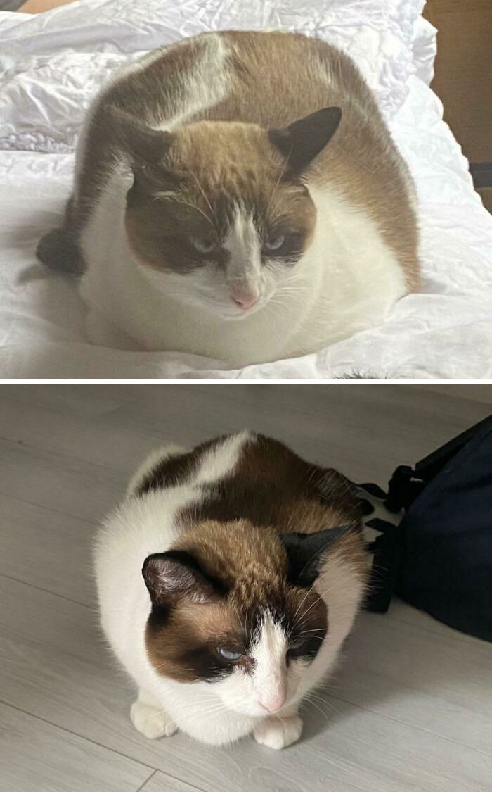 We’ve Moved Out Of My In-Laws’ So Nobody’s Overfeeding My River Now