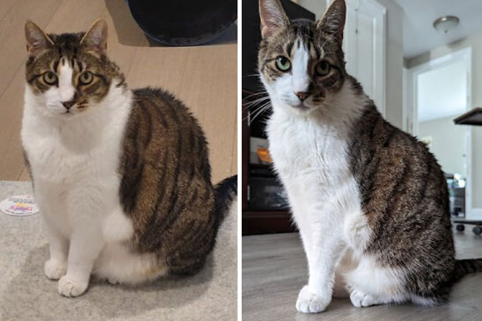 Wanted To Share My Boy's 5 Lbs Weight Loss Over The Past Two Years