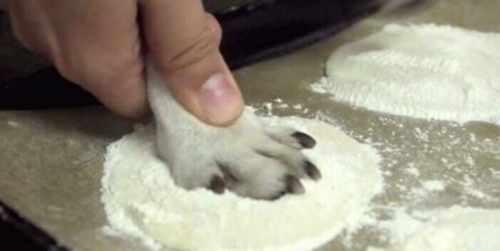 A paw pressing into dough, creating a peculiar food imprint.