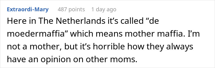 Woman Gets Blasted For Formula Feeding Her Kids By Local Mom, Years Later Gets Petty Revenge