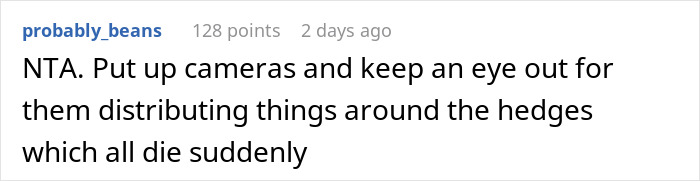 Comment about not being the antagonist and advising to install cameras to monitor hedge tampering near Airbnb property.