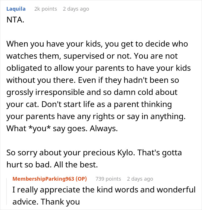 &ldquo;Oh Stop&hellip; It&rsquo;s Just A Cat&rdquo;: Woman Bans Parents From Grandkids Following Tragic Pet Incident