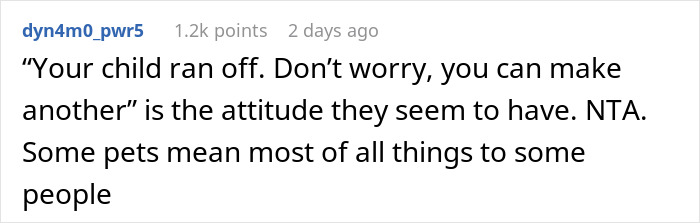 &ldquo;Oh Stop&hellip; It&rsquo;s Just A Cat&rdquo;: Woman Bans Parents From Grandkids Following Tragic Pet Incident