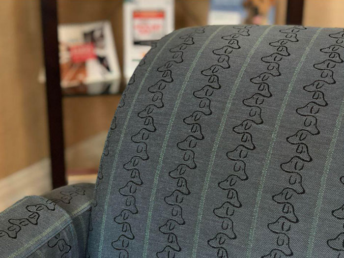 This Adorable Dog Upholstery On A Couch In My Veterinarian's Office