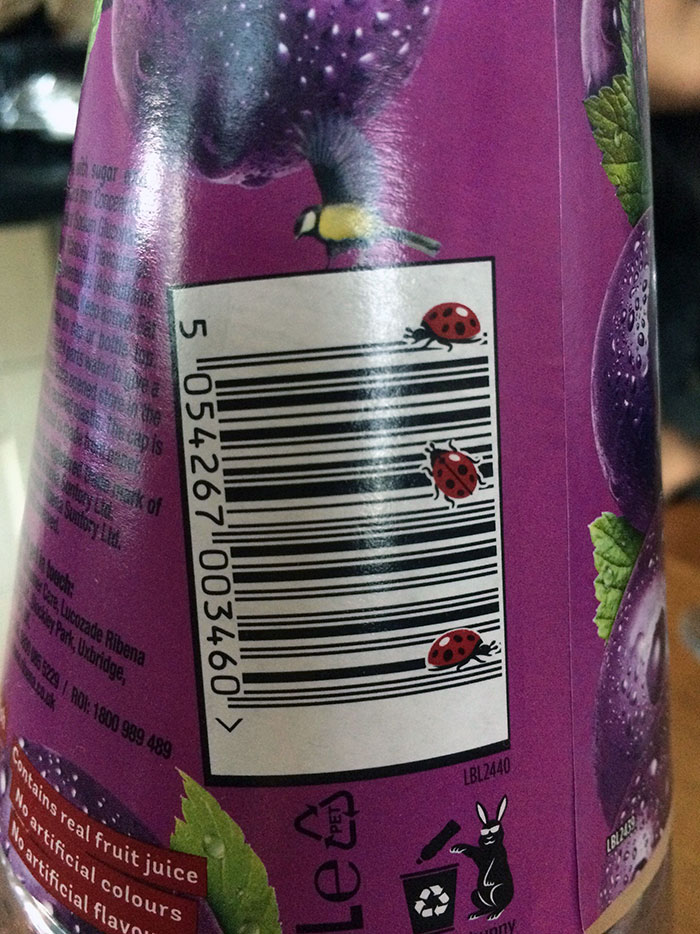 Ribena Blackcurrant Drink (UK)