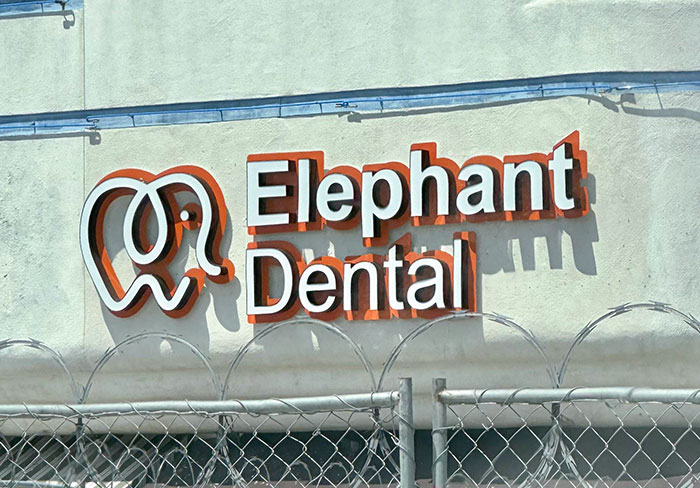 Dr. Pachyderm DDS