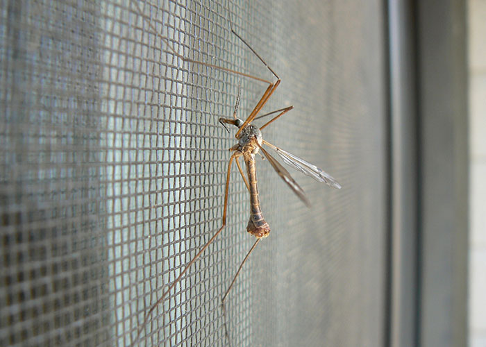 30 Biggest Cultural Shocks From Around The World Visitors Just Can’t Get Used To