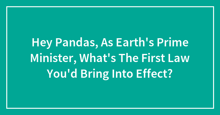 Hey Pandas, As Earth’s Prime Minister, What’s The First Law You’d Bring Into Effect? (Closed)