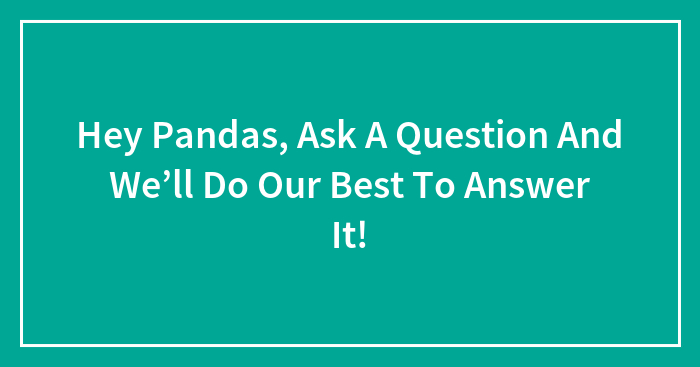 Hey Pandas, Ask A Question And We’ll Do Our Best To Answer It!