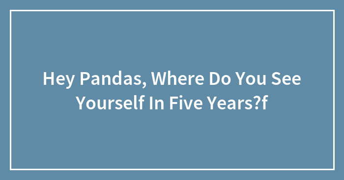Hey Pandas, Where Do You See Yourself In Five Years?f