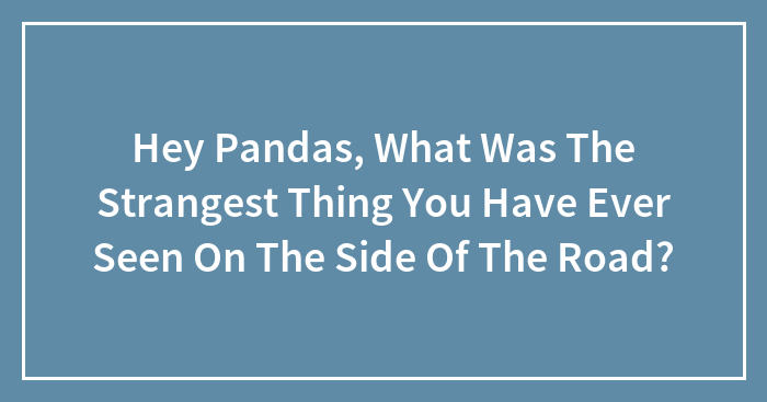 Hey Pandas, What Was The Strangest Thing You Have Ever Seen On The Side Of The Road?