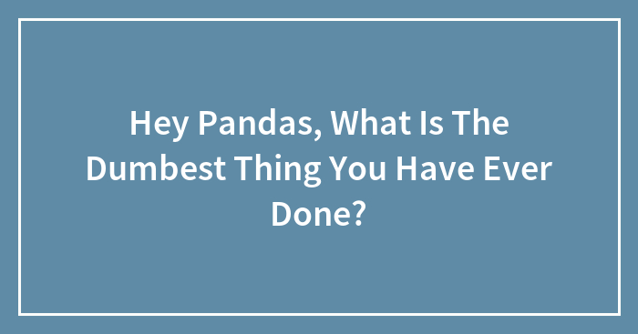Hey Pandas, What Is The Dumbest Thing You Have Ever Done?