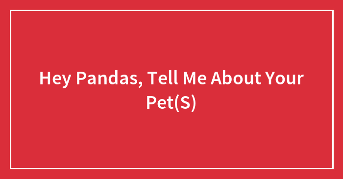 Hey Pandas, Tell Me About Your Pet(S)