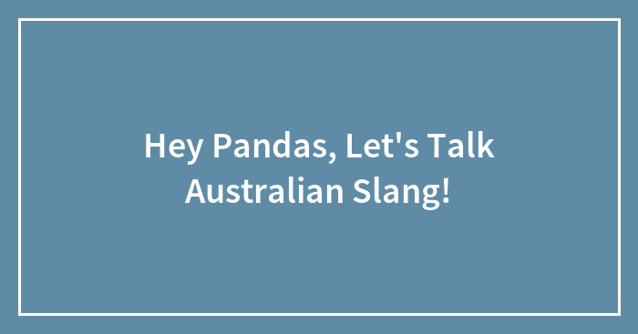 Hey Pandas, Let’s Talk Australian Slang!