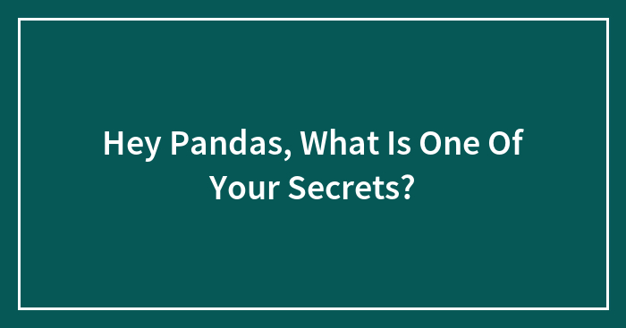 Hey Pandas, What Is One Of Your Secrets?