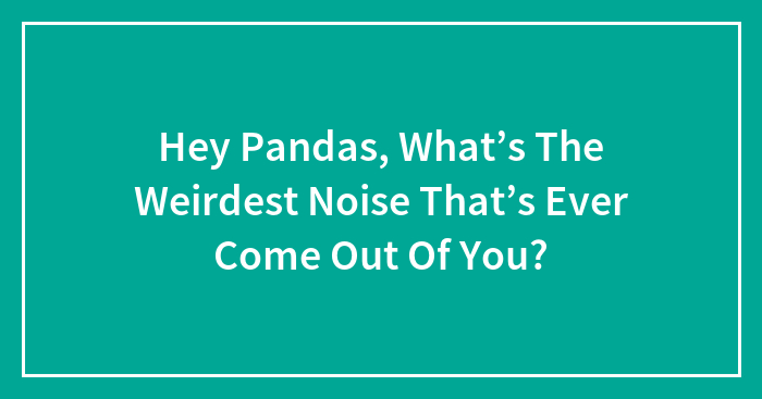 Hey Pandas, What’s The Weirdest Noise That’s Ever Come Out Of You?