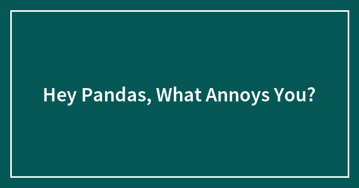 Hey Pandas, What Annoys You?