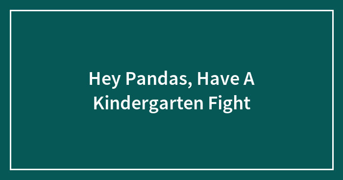 Hey Pandas, Have A Kindergarten Fight