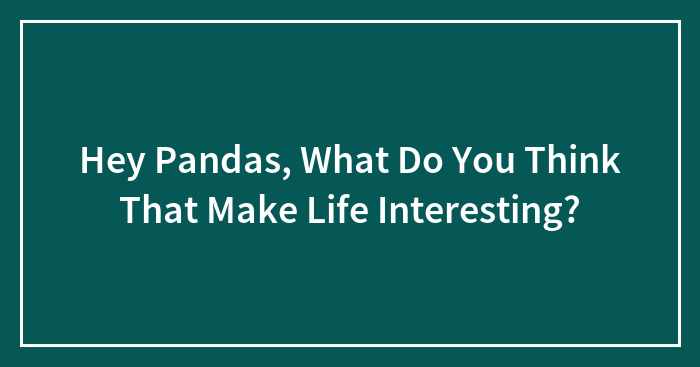 Hey Pandas, What Do You Think Makes Life Interesting? (Closed)