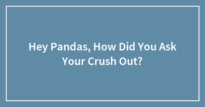 Hey Pandas, How Did You Ask Your Crush Out? (Closed)