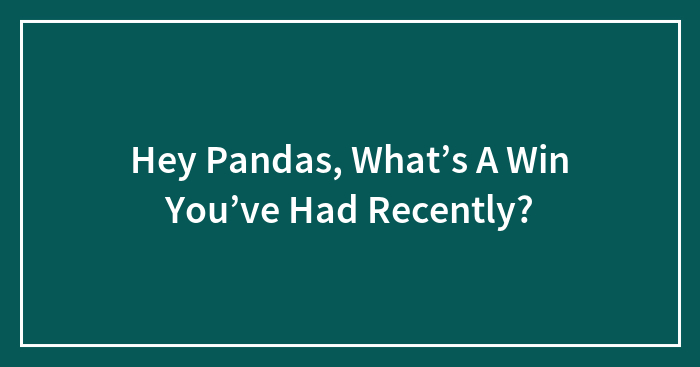 Hey Pandas, What’s A Win You’ve Had Recently? (Closed)
