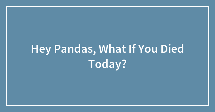 Hey Pandas, What If You Died Today?
