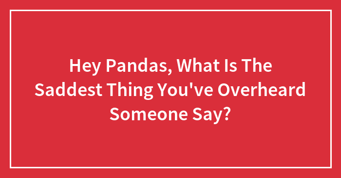 Hey Pandas, What Is The Saddest Thing You’ve Overheard Someone Say?