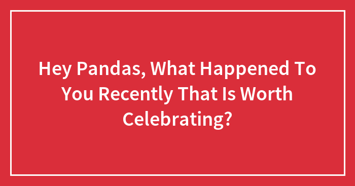 Hey Pandas, What Happened To You Recently That Is Worth Celebrating? (Closed)