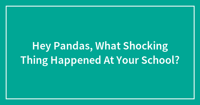 Hey Pandas, What Shocking Thing Happened At Your School?