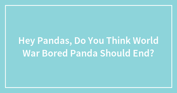 Hey Pandas, Do You Think World War Bored Panda Should End?