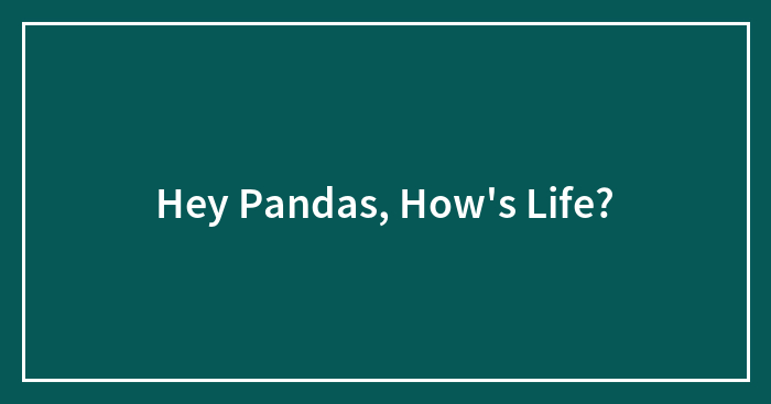 Hey Pandas, How’s Life?