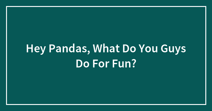 Hey Pandas, What Do You Guys Do For Fun?