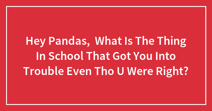 Hey Pandas, What Is The Thing In School That Got You Into Trouble Even Tho U Were Right?
