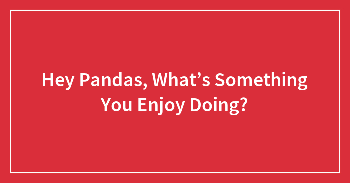 Hey Pandas, What’s Something You Enjoy Doing?