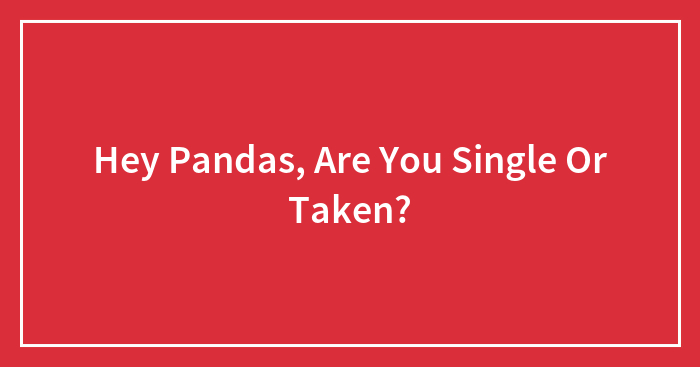 Hey Pandas, Are You Single Or Taken?