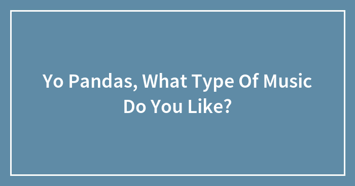Yo Pandas, What Type Of Music Do You Like?