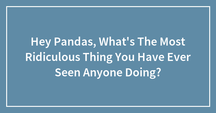 Hey Pandas, What’s The Most Ridiculous Thing You Have Ever Seen Anyone Doing?