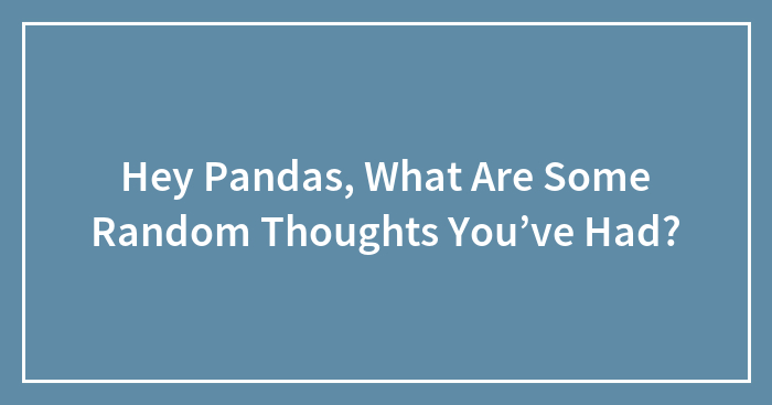 Hey Pandas, What Are Some Random Thoughts You’ve Had?
