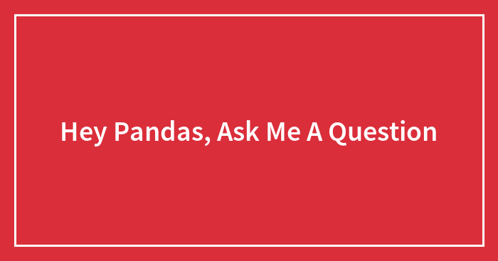 Hey Pandas, Ask Me A Question